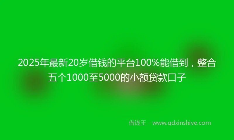 2025年最新20岁借钱的平台100%能借到，整合五个1000至5000的小额贷款口子