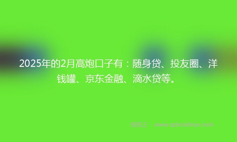 2025年的2月高炮口子有：随身贷、投友圈、洋钱罐、京东金融、滴水贷等。