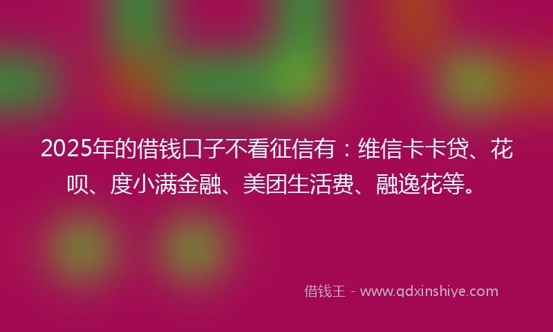 2025年的借钱口子不看征信有：维信卡卡贷、花呗、度小满金融、美团生活费、融逸花等。