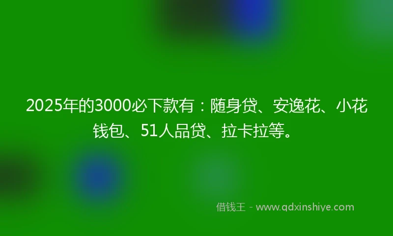 2025年的3000必下款有：随身贷、安逸花、小花钱包、51人品贷、拉卡拉等。