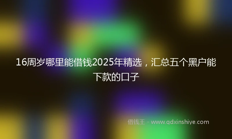 16周岁哪里能借钱2025年精选，汇总五个黑户能下款的口子