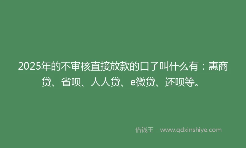 2025年的不审核直接放款的口子叫什么有：惠商贷、省呗、人人贷、e微贷、还呗等。
