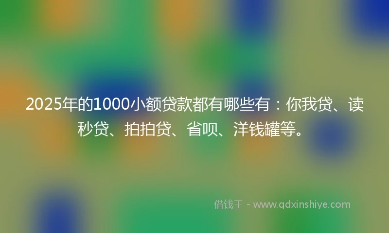 2025年的1000小额贷款都有哪些有：你我贷、读秒贷、拍拍贷、省呗、洋钱罐等。