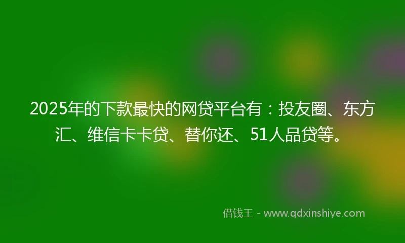2025年的下款最快的网贷平台有：投友圈、东方汇、维信卡卡贷、替你还、51人品贷等。