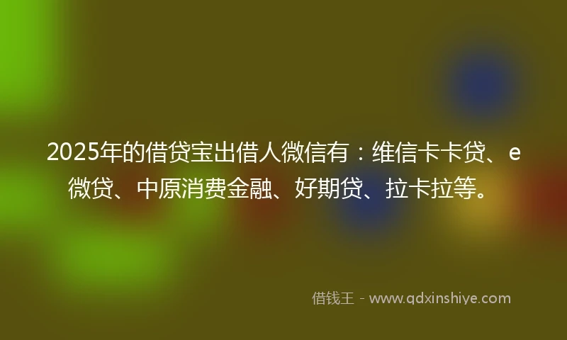 2025年的借贷宝出借人微信有：维信卡卡贷、e微贷、中原消费金融、好期贷、拉卡拉等。