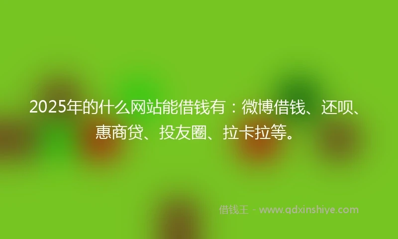 2025年的什么网站能借钱有：微博借钱、还呗、惠商贷、投友圈、拉卡拉等。