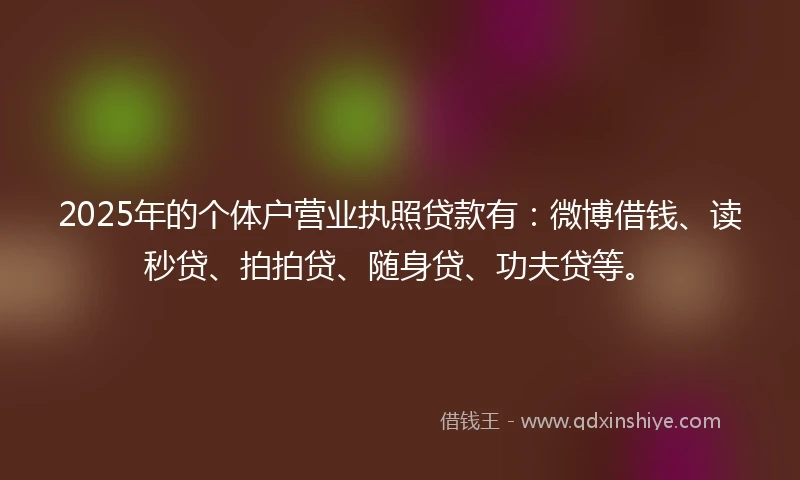 2025年的个体户营业执照贷款有：微博借钱、读秒贷、拍拍贷、随身贷、功夫贷等。