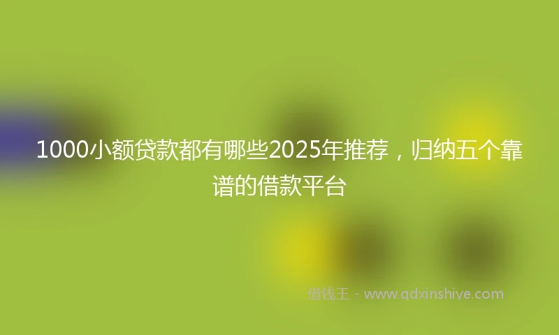 1000小额贷款都有哪些2025年推荐，归纳五个靠谱的借款平台