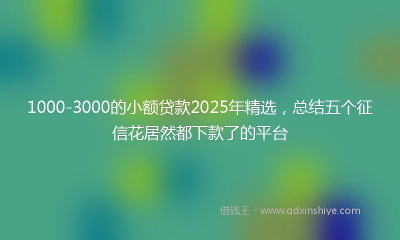 1000-3000的小额贷款2025年精选，总结五个征信花居然都下款了的平台