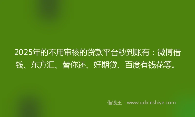 2025年的不用审核的贷款平台秒到账有：微博借钱、东方汇、替你还、好期贷、百度有钱花等。