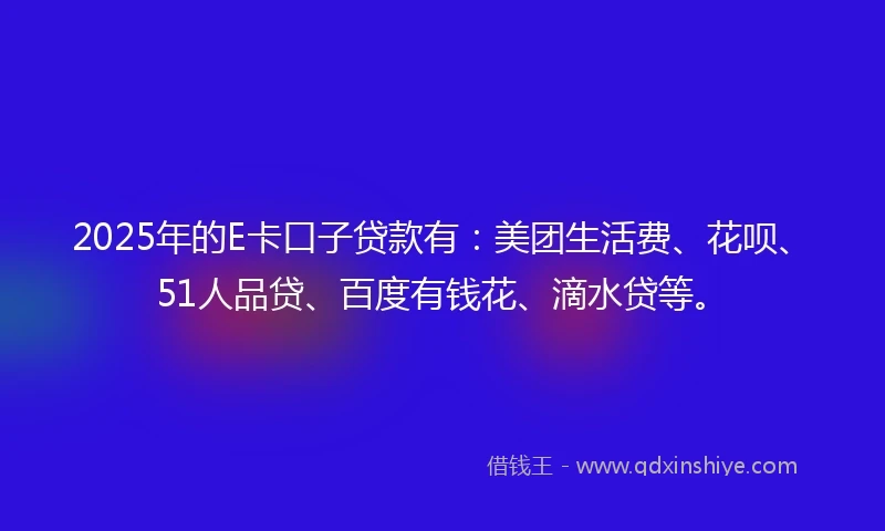 2025年的E卡口子贷款有：美团生活费、花呗、51人品贷、百度有钱花、滴水贷等。