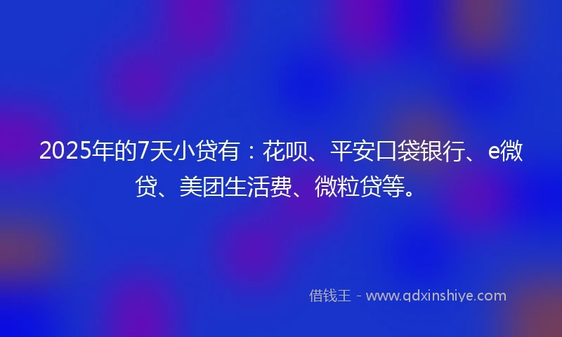 2025年的7天小贷有：花呗、平安口袋银行、e微贷、美团生活费、微粒贷等。