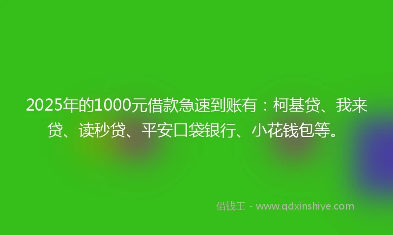 2025年的1000元借款急速到账有：柯基贷、我来贷、读秒贷、平安口袋银行、小花钱包等。