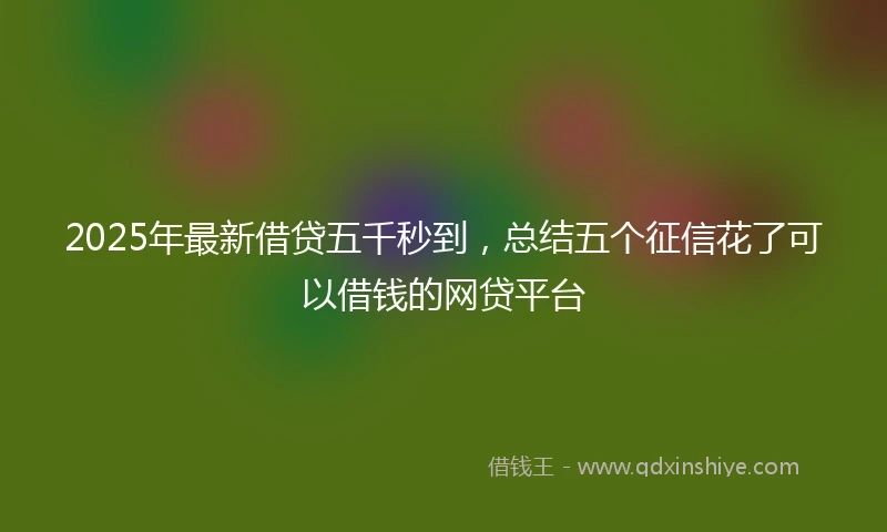 2025年最新借贷五千秒到，总结五个征信花了可以借钱的网贷平台