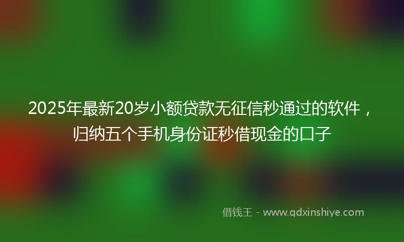2025年最新20岁小额贷款无征信秒通过的软件，归纳五个手机身份证秒借现金的口子