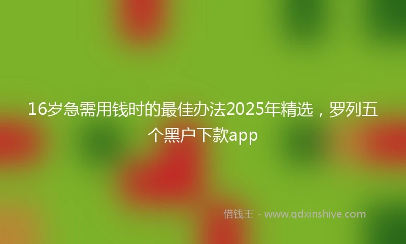 16岁急需用钱时的最佳办法2025年精选，罗列五个黑户下款app