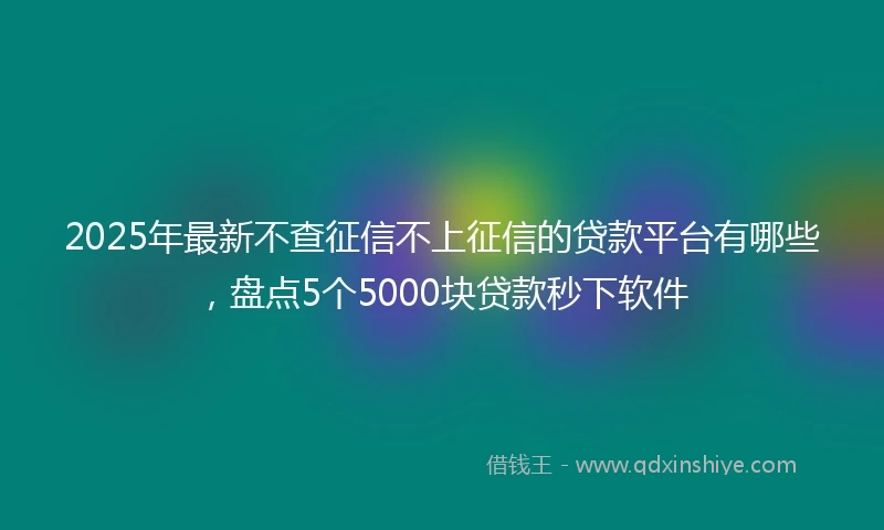 2025年最新不查征信不上征信的贷款平台有哪些，盘点5个5000块贷款秒下软件