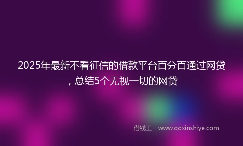 2025年最新不看征信的借款平台百分百通过网贷，总结5个无视一切的网贷