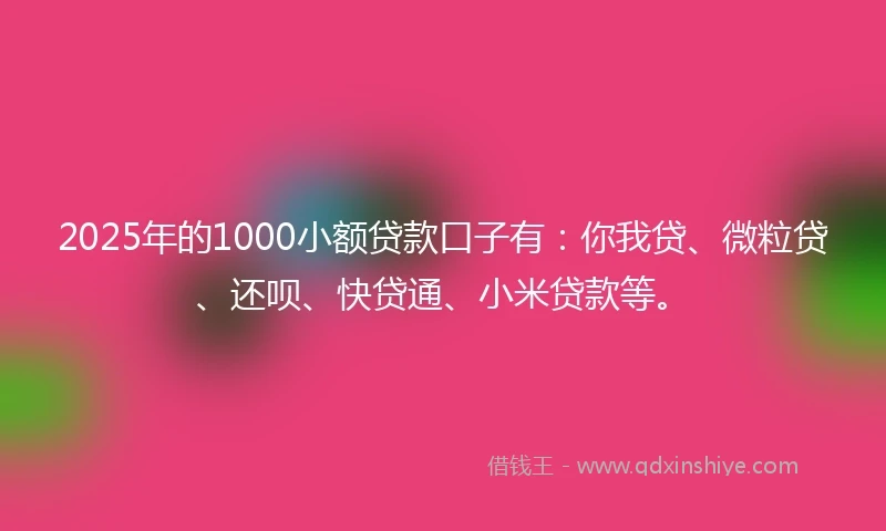 2025年的1000小额贷款口子有：你我贷、微粒贷、还呗、快贷通、小米贷款等。