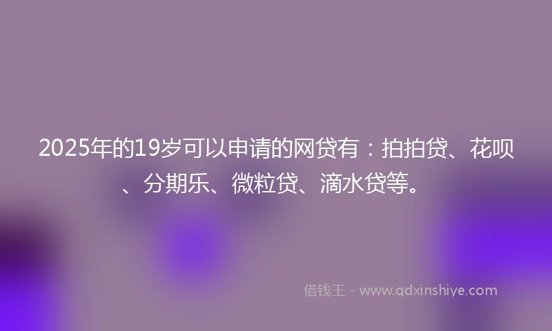 2025年的19岁可以申请的网贷有：拍拍贷、花呗、分期乐、微粒贷、滴水贷等。