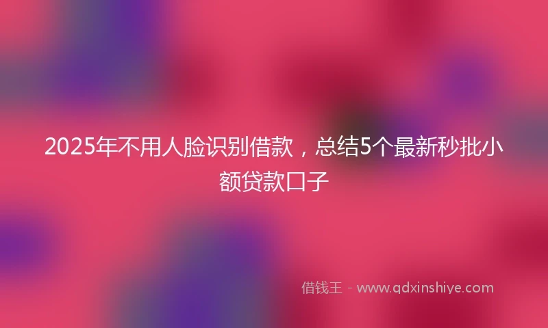 2025年不用人脸识别借款，总结5个最新秒批小额贷款口子
