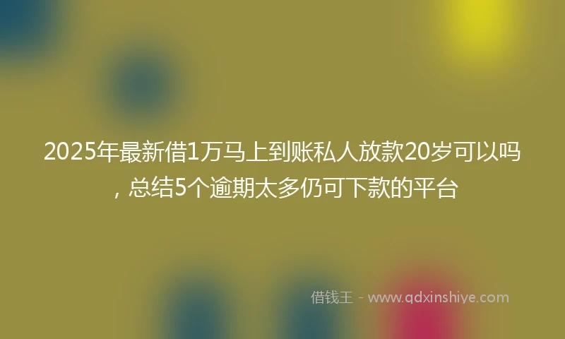 2025年最新借1万马上到账私人放款20岁可以吗，总结5个逾期太多仍可下款的平台