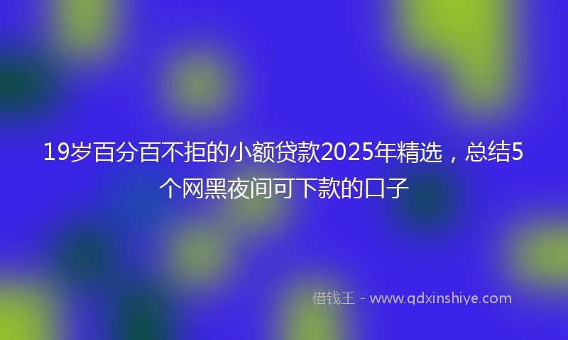 19岁百分百不拒的小额贷款2025年精选，总结5个网黑夜间可下款的口子