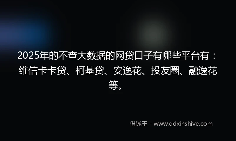 2025年的不查大数据的网贷口子有哪些平台有：维信卡卡贷、柯基贷、安逸花、投友圈、融逸花等。
