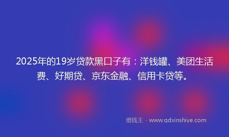 2025年的19岁贷款黑口子有：洋钱罐、美团生活费、好期贷、京东金融、信用卡贷等。