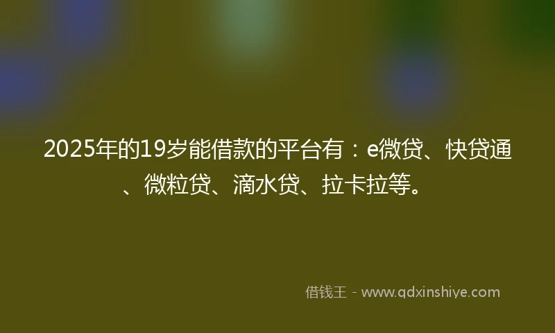 2025年的19岁能借款的平台有：e微贷、快贷通、微粒贷、滴水贷、拉卡拉等。