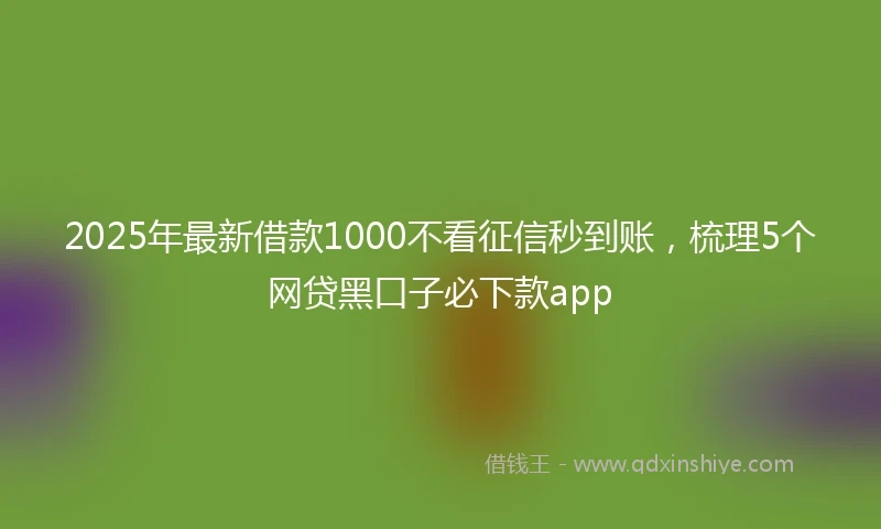 2025年最新借款1000不看征信秒到账，梳理5个网贷黑口子必下款app