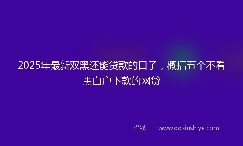 2025年最新双黑还能贷款的口子，概括五个不看黑白户下款的网贷