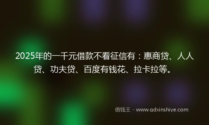 2025年的一千元借款不看征信有：惠商贷、人人贷、功夫贷、百度有钱花、拉卡拉等。