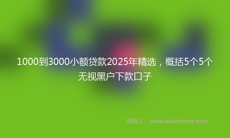 1000到3000小额贷款2025年精选，概括5个5个无视黑户下款口子