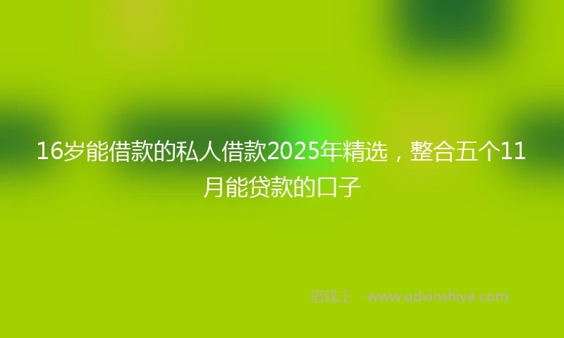 16岁能借款的私人借款2025年精选，整合五个11月能贷款的口子