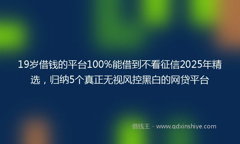 19岁借钱的平台100%能借到不看征信2025年精选，归纳5个真正无视风控黑白的网贷平台
