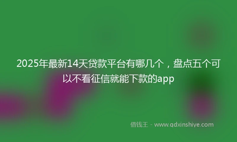 2025年最新14天贷款平台有哪几个，盘点五个可以不看征信就能下款的app