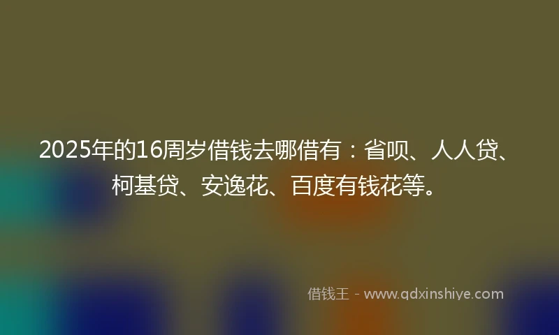 2025年的16周岁借钱去哪借有：省呗、人人贷、柯基贷、安逸花、百度有钱花等。