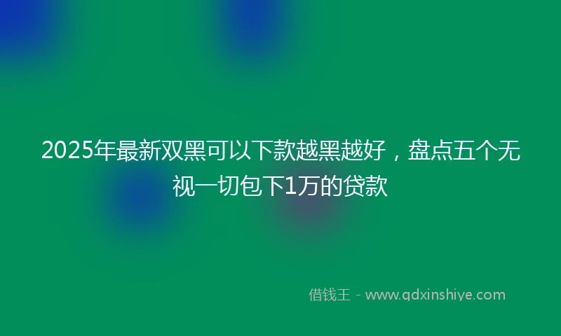 2025年最新双黑可以下款越黑越好，盘点五个无视一切包下1万的贷款