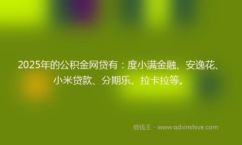 2025年的公积金网贷有：度小满金融、安逸花、小米贷款、分期乐、拉卡拉等。
