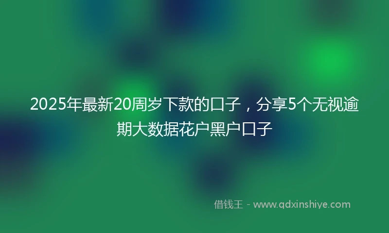 2025年最新20周岁下款的口子，分享5个无视逾期大数据花户黑户口子