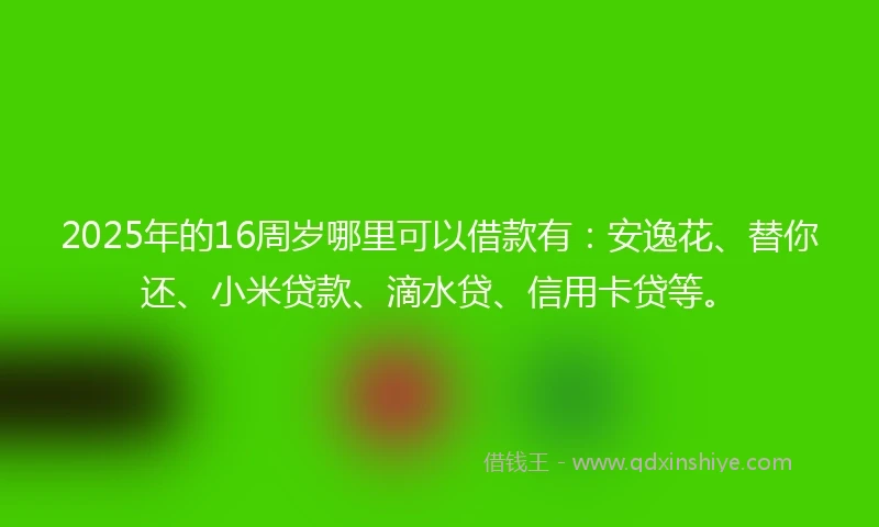 2025年的16周岁哪里可以借款有：安逸花、替你还、小米贷款、滴水贷、信用卡贷等。