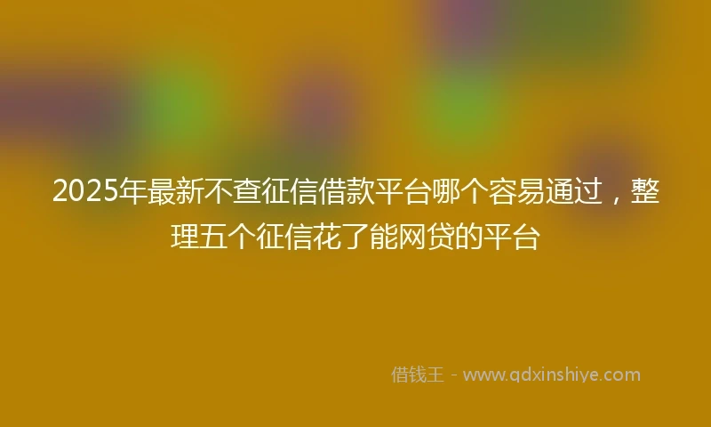 2025年最新不查征信借款平台哪个容易通过，整理五个征信花了能网贷的平台
