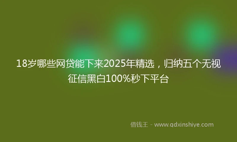 18岁哪些网贷能下来2025年精选，归纳五个无视征信黑白100%秒下平台
