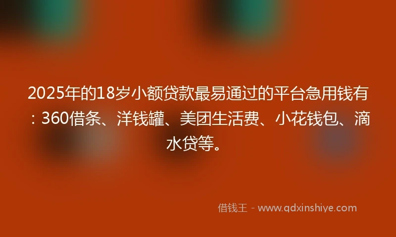 2025年的18岁小额贷款最易通过的平台急用钱有：360借条、洋钱罐、美团生活费、小花钱包、滴水贷等。