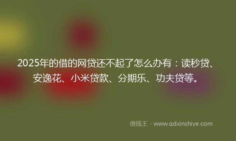 2025年的借的网贷还不起了怎么办有：读秒贷、安逸花、小米贷款、分期乐、功夫贷等。