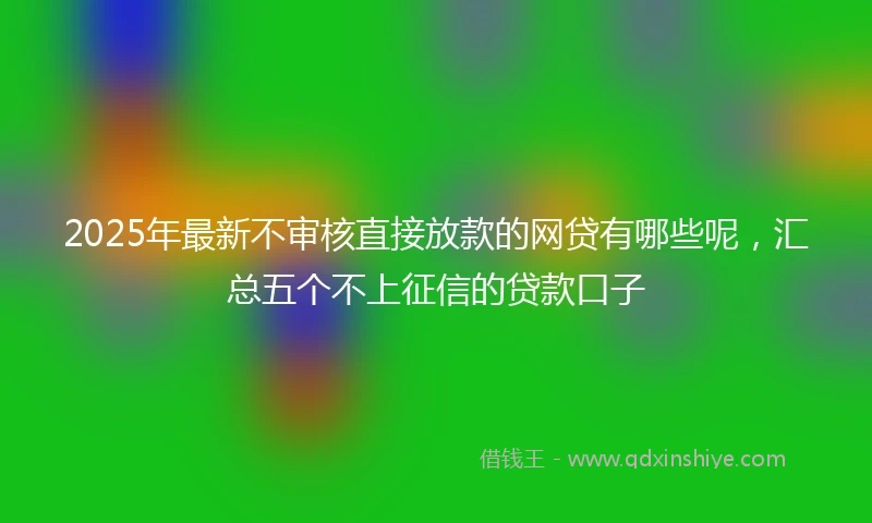 2025年最新不审核直接放款的网贷有哪些呢，汇总五个不上征信的贷款口子