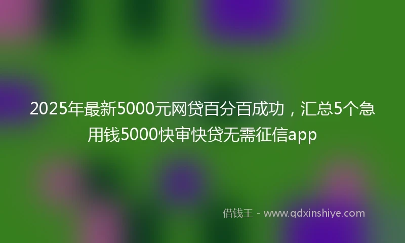 2025年最新5000元网贷百分百成功，汇总5个急用钱5000快审快贷无需征信app