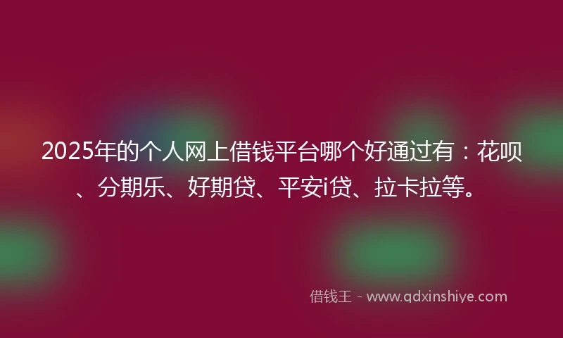 2025年的个人网上借钱平台哪个好通过有：花呗、分期乐、好期贷、平安i贷、拉卡拉等。