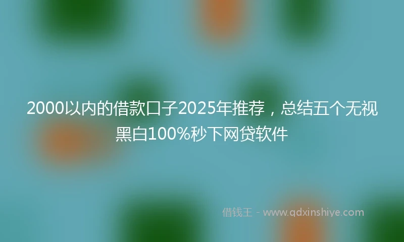 2000以内的借款口子2025年推荐，总结五个无视黑白100%秒下网贷软件